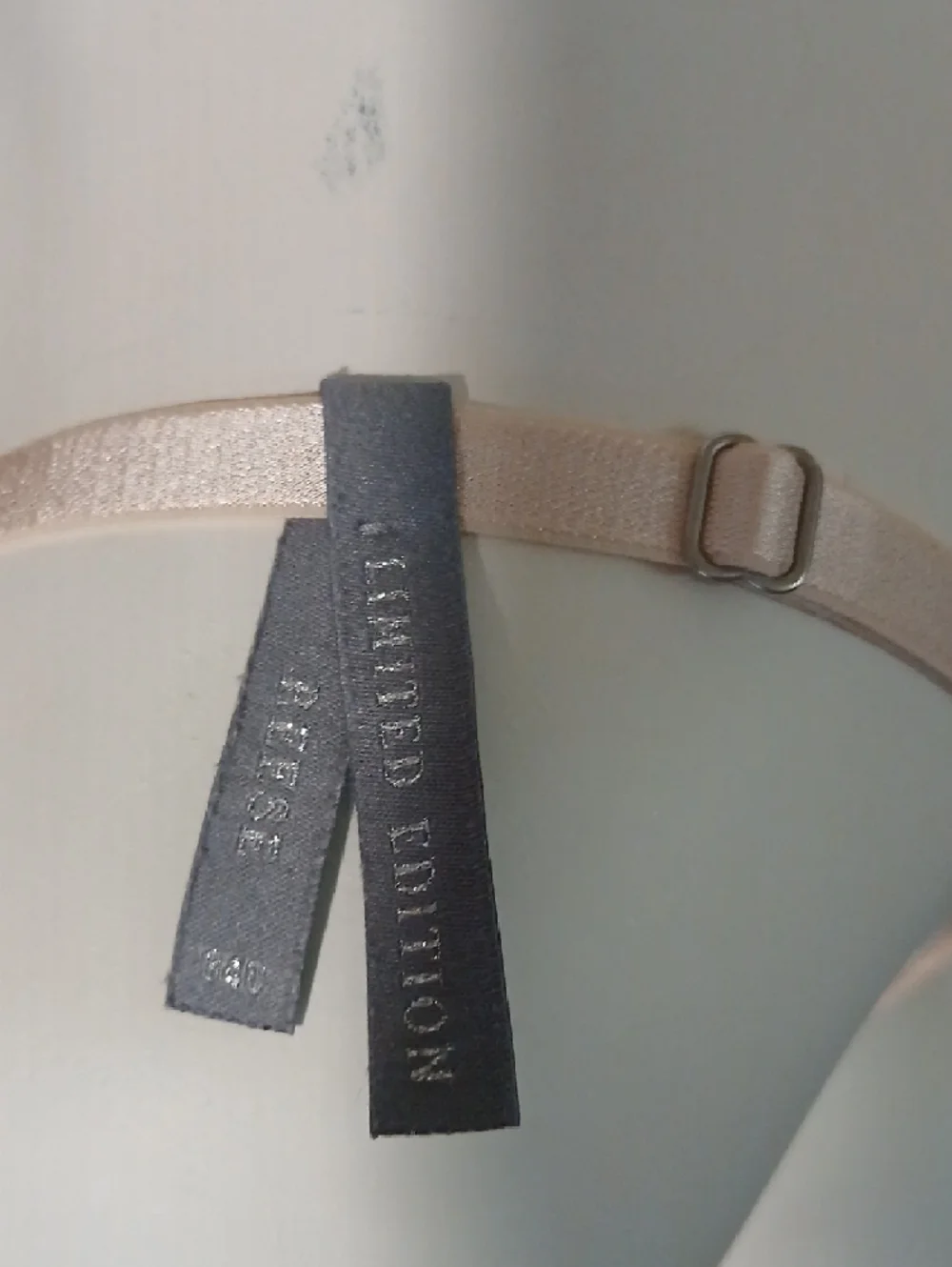 Aerie "REESE" LIMITED EDITION Nude Champagne Embellished Sexy Underwire Bra - Picture 8 of 16